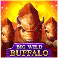 game logo by Belatra Games on clapscasino.eu